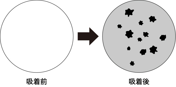 皮脂吸着前吸着後